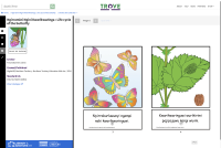 Screen shot Trove Tiwi book